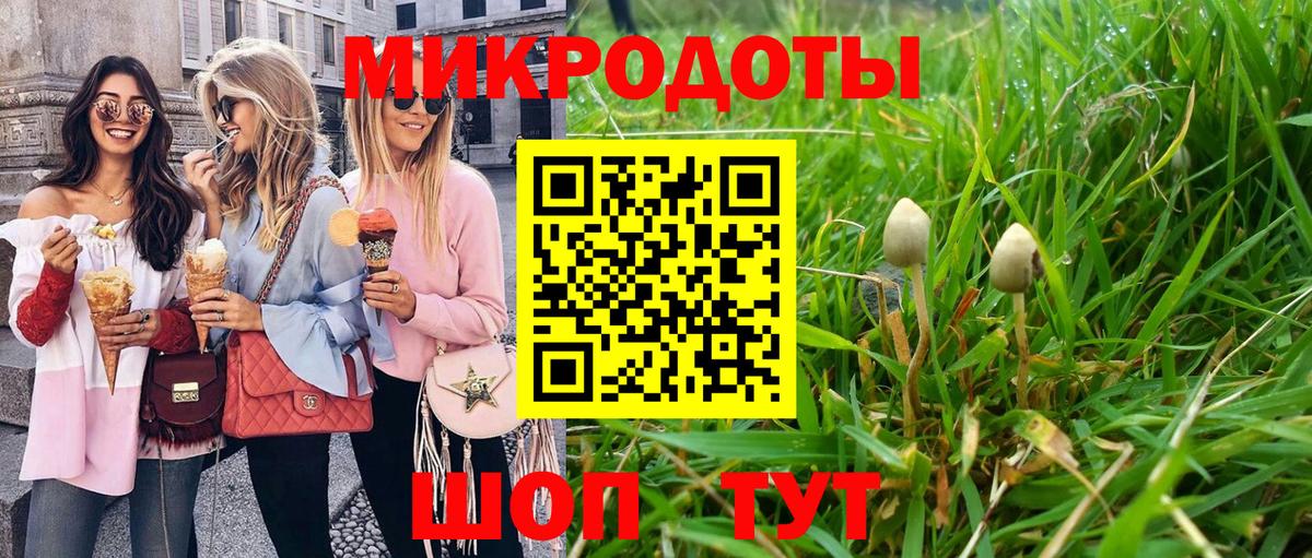 цены наркотик  Вход с VPN  Киселёвск  Галлюциногенные грибы мицелий 