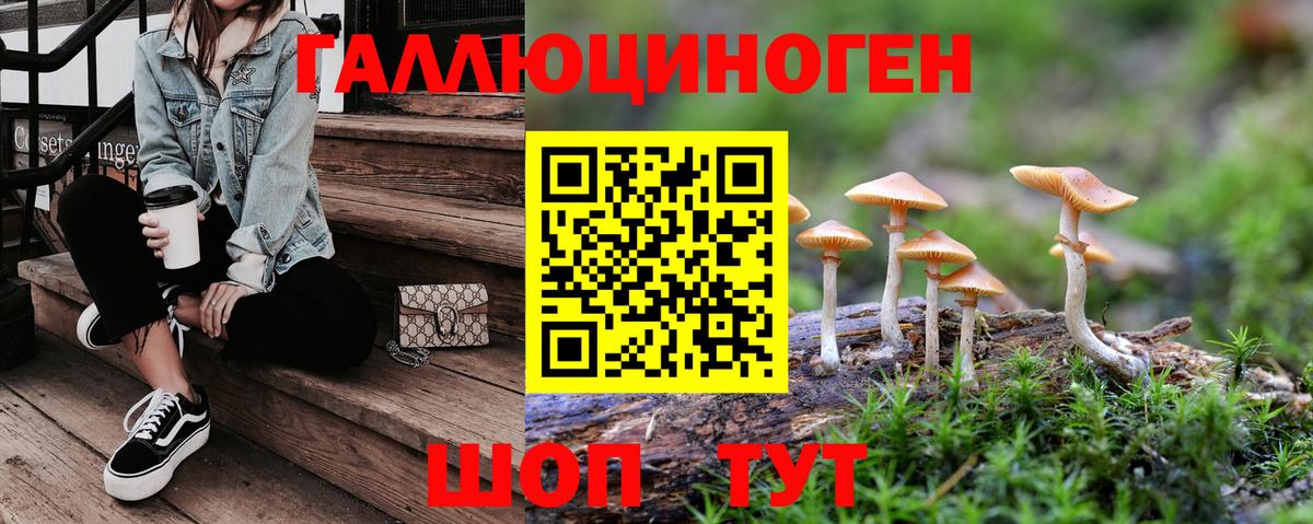 Псилоцибиновые грибы мухоморы Киселёвск